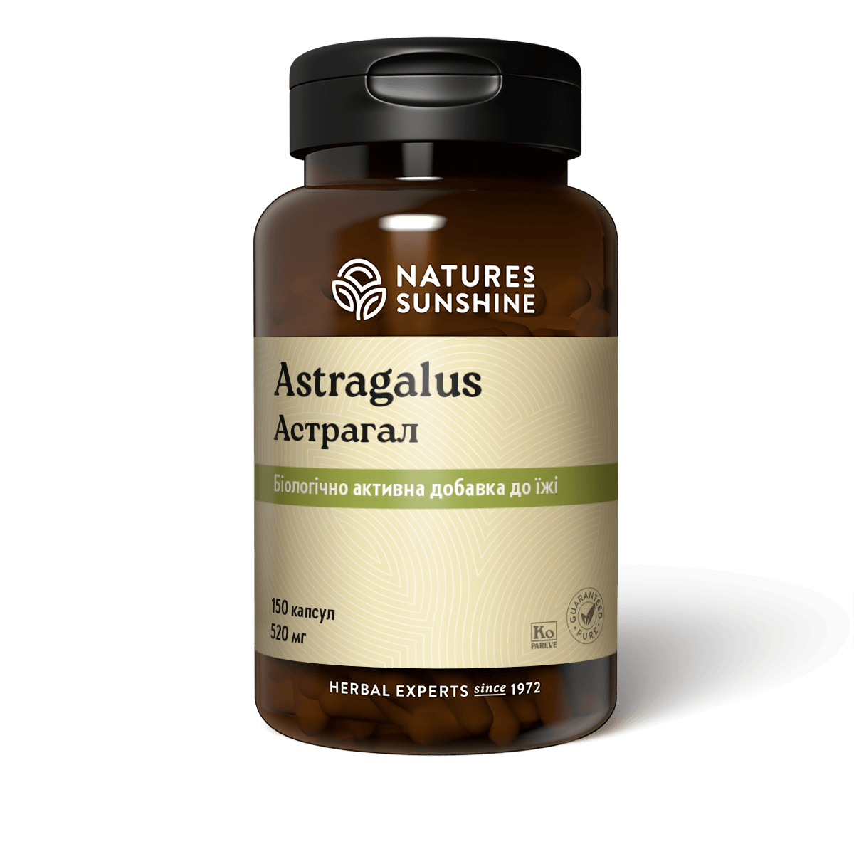 Astragalus