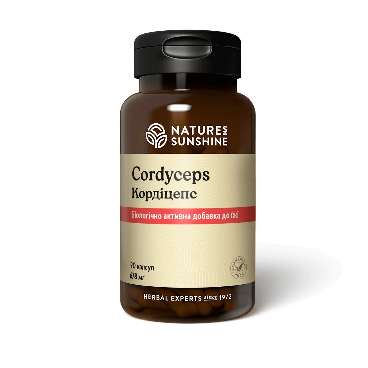 Cordyceps